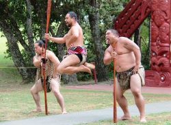 Maori warriors - Cultural Authenticity