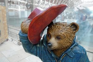 Paddington Bear